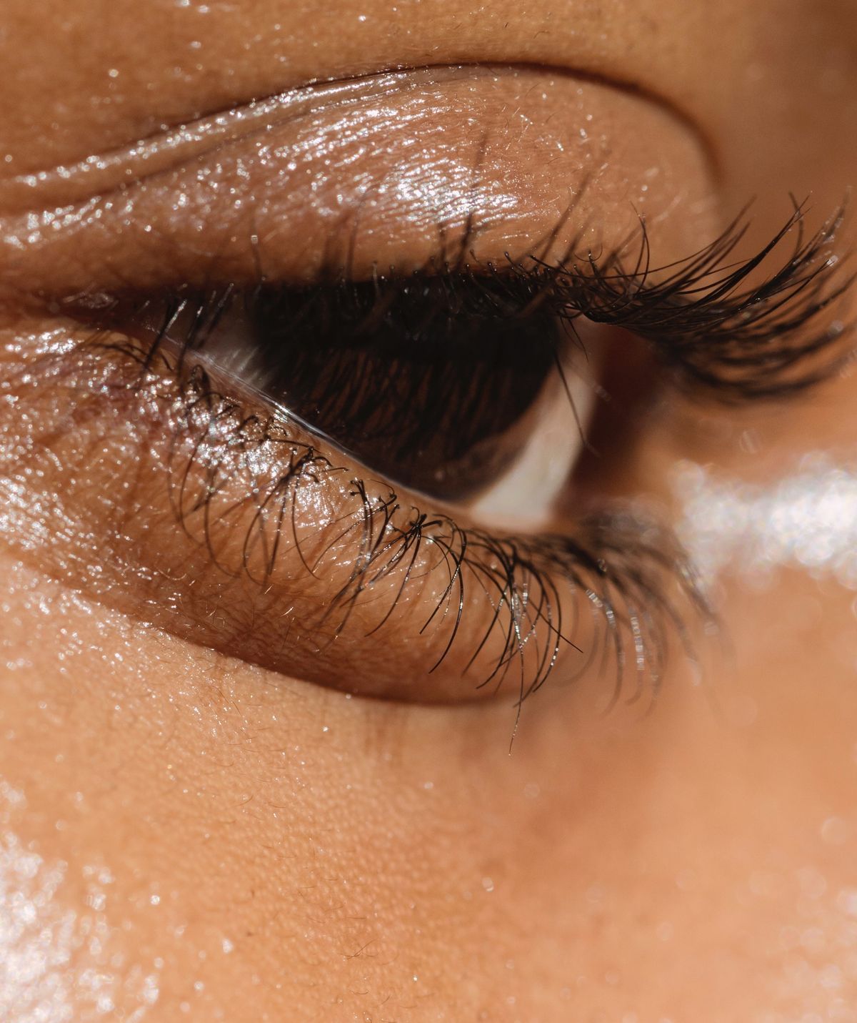 Pexels Angela Roma 7479534